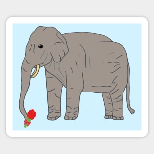 Elephant Lover Sticker